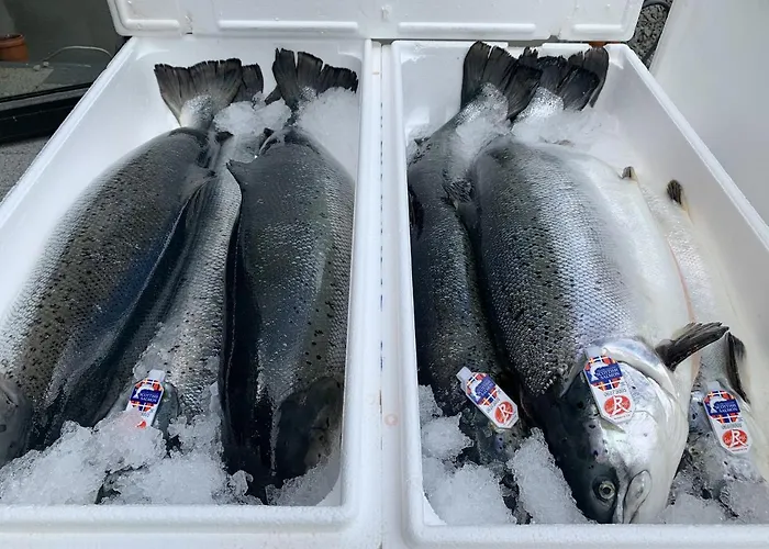 Th Messe Отель 3*